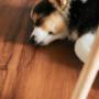 Laminated-Flooring-5.jpg