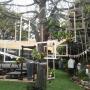 DWC Exterior Decor