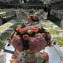 DWC Pink Floral Centerpiece