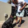 Private puppy class
