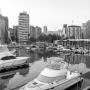Government Tender Listings