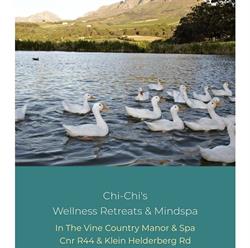 Chi-Chi's Wellness Retreat & MindSpa