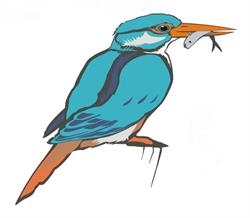 Kingfisher B & B