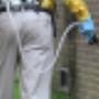 Pest Control Langebaan