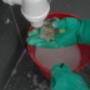 Bathroom Deep Cleaning