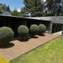Garden-facing suites
