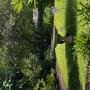 Tranquil Garden