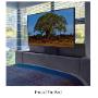 Foot of the bed TV Lift