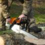 tree felling pros - Tree Felling- Price.jpg