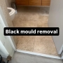 Black mould
