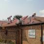 Roof Painting