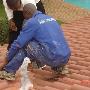Roof Repairs & Roof Painting