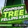 Johnson Tree Felling