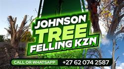 Johnson Tree Felling