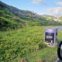 Our dustbin ads around Knysna :)