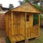 Knote Pine Wood