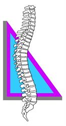 Aston Manor Chiropractors