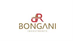 D R Bongani Investments