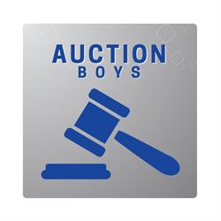 Auction Boys