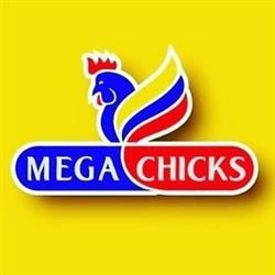 Megachicks Roodepoort
