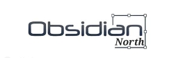 Obsidian North - Software Development Company