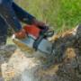Tree Felling Germiston