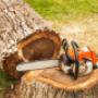 Tree Felling Germiston