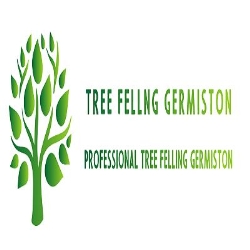 Tree Felling Germiston