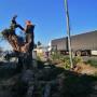Ross Tree Felling Pietermaritzburg