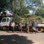 Ross Tree Felling Pietermaritzburg