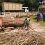 Ross Tree Felling Pietermaritzburg