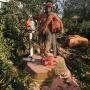 Ross Tree Felling Pietermaritzburg