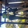 Aluminium Doors - Patio