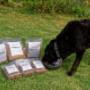 Max and Rosy Natural Dog food