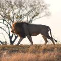 2 Day Budget Safari