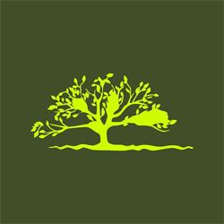 Tree of Life Hatfield