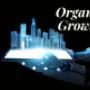 Organic Traffic & Growth