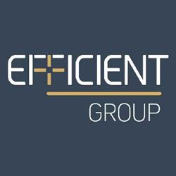 Efficient Wealth