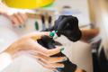 Nail beauty salon - State of the Art Facilities