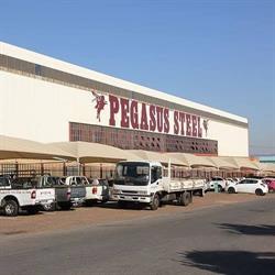 PEGASUS STEEL