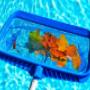 Swimming Pool Pros - pool cleaning service.jpg