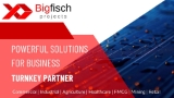 Bigfisch Projects Target Sectors