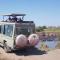 Tanzania-safaris