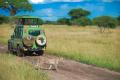 Widerange-African-Safari