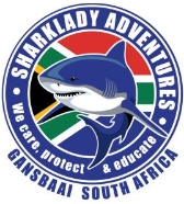 Sharklady Adventures - Gansbaai