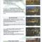 Brochure-page-3