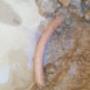 Underground leak (before)