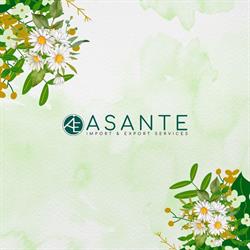 Asante Import & Export Services -PtyLtd