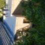 Roof painting waterproofing