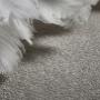 Get Belgotex’s Mantra M201 cut pile carpet in the Dusted shade. It’s a simple yet elegant flooring solution for your home.